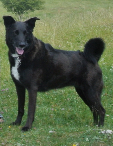 Sookie2.jpg (470 x 607)